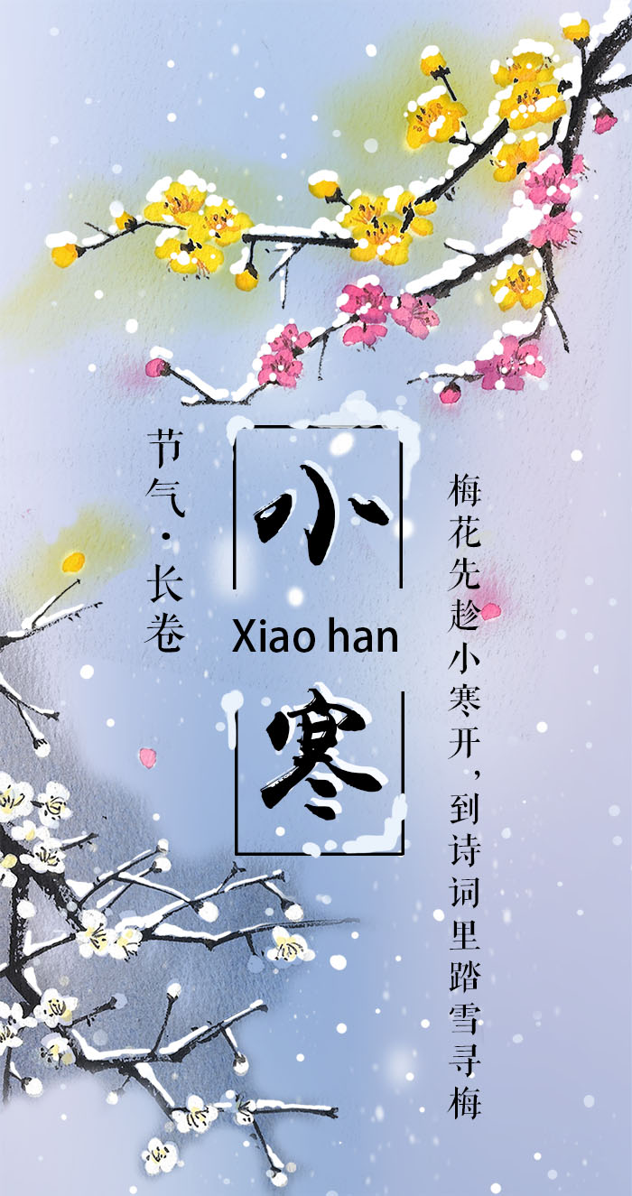 小寒长卷丨梅花先趁小寒开到诗词里踏雪寻梅