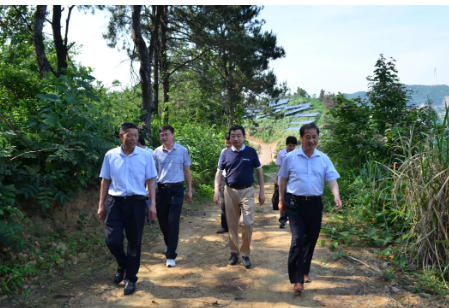 陈先志为村民铺就致富茶路