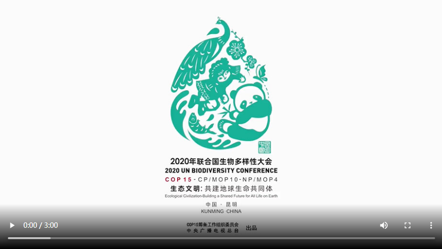 保护生物多样性主题宣传片-cop15大会主题宣传片