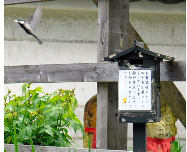 日本神户市天王寺"请不要向香资箱内投钱"的告示走红网络