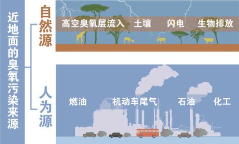 美丽中国行｜我的家园越来越美——美丽中国建设成效观察(图1)