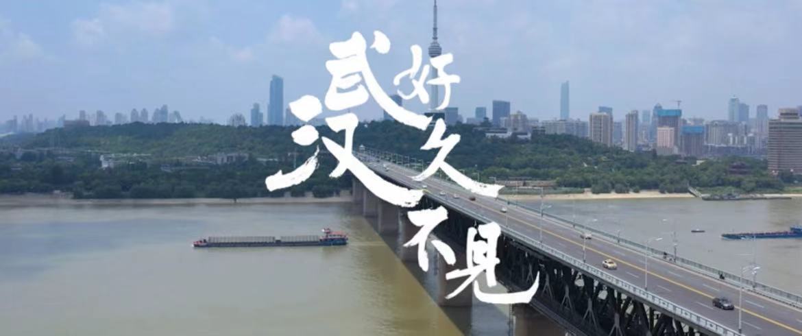 《好久不见,武汉》