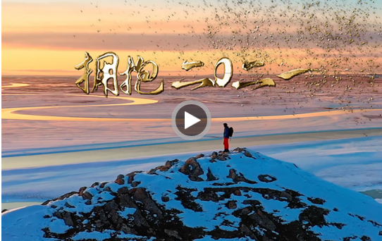 视频告别2020拥抱