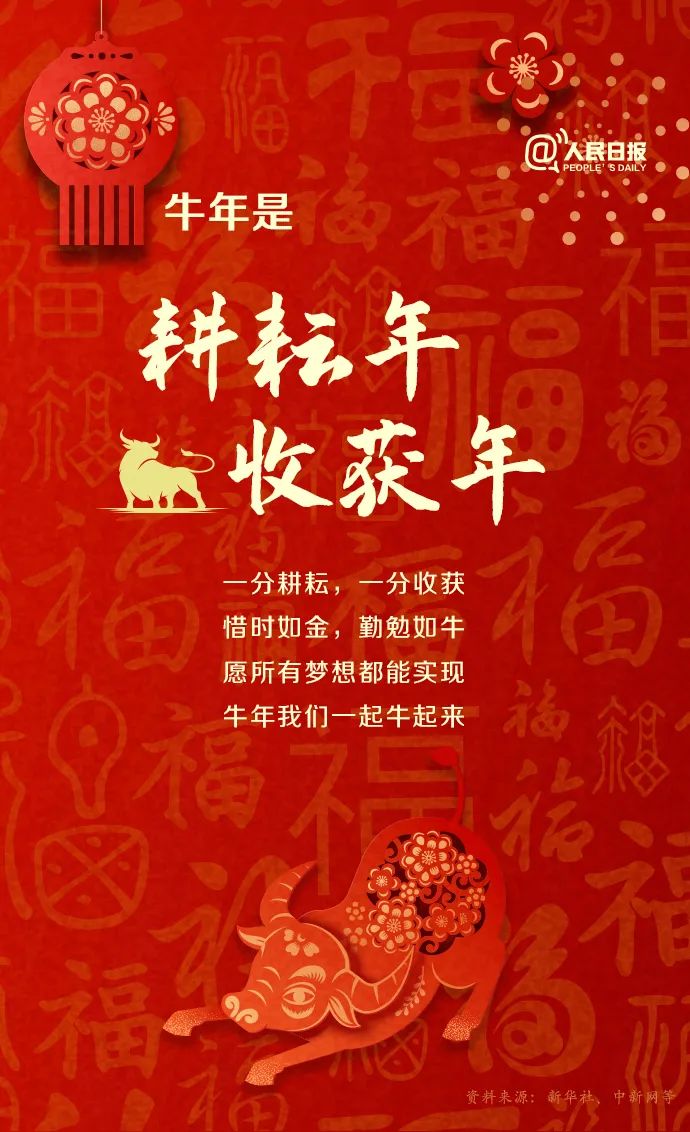 关于牛年,还有哪些知识点?