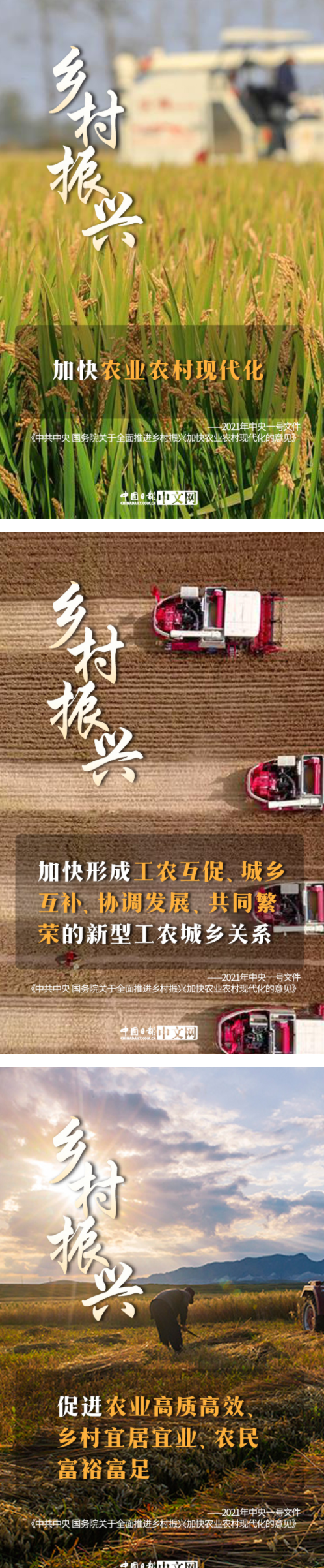 图说中央一号文件为乡村振兴描绘美好蓝图