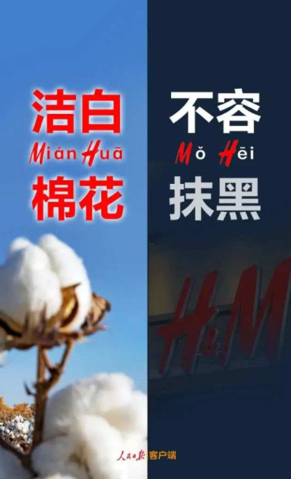 关于新疆棉花的6个事实