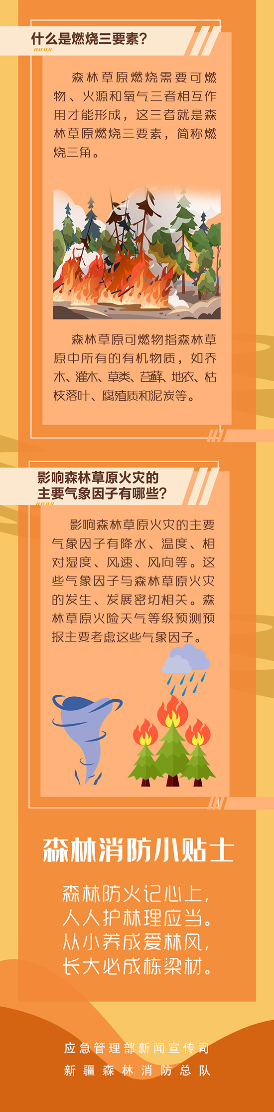 图解什么是森林草原火灾