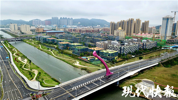 大湾三问②| 港澳青年为何纷纷“跨过深圳河”?_杭州网
