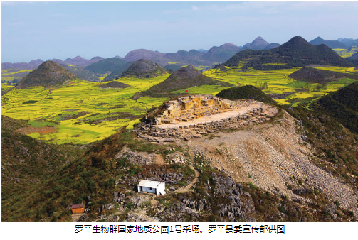 走进罗平生物群国家地质公园 探寻远古生命印记