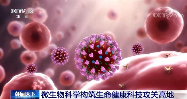 高中生物教案范文_高中优秀教案生物_高中生物优秀教案模板