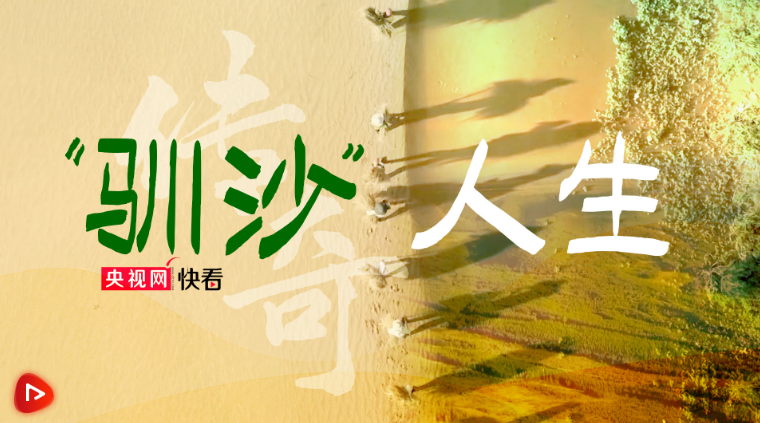d6a32387-f135-446f-af1a-e8ec3536829b.png