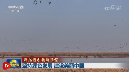 【新思想引领新征程】坚持绿色发展 建设美丽中国_杭州网