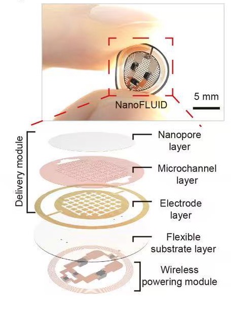图为科研团队研发的“智能创可贴”示意图。(受访者供图)