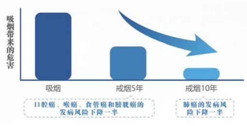 △图自《中国防癌健康生活方式守则》