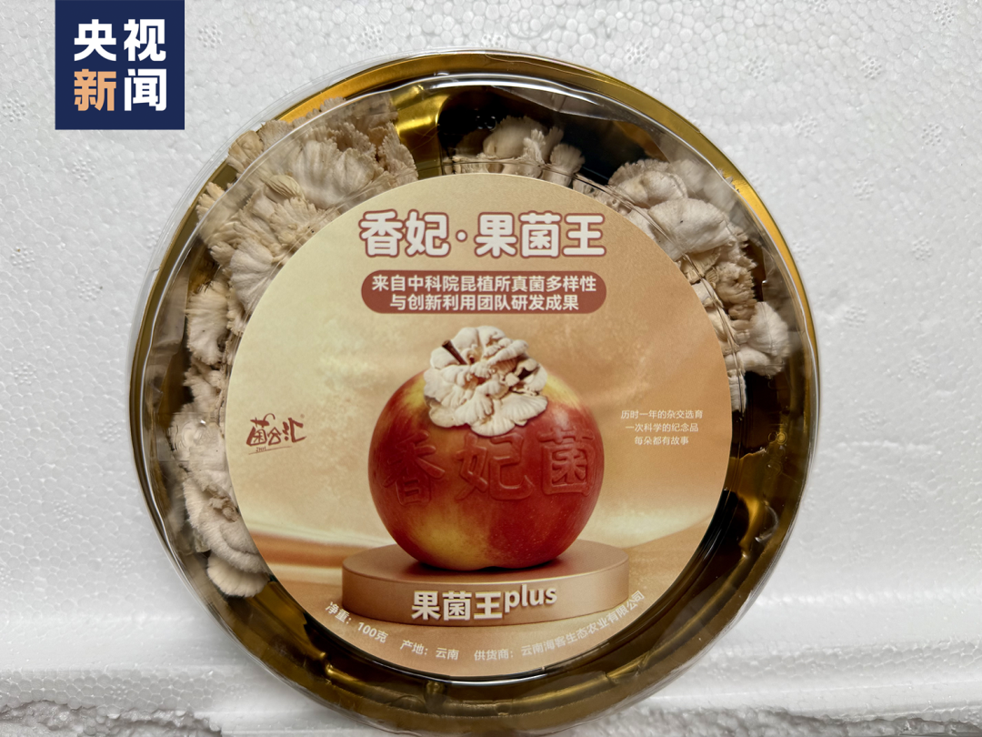 △第四代“果菌王”