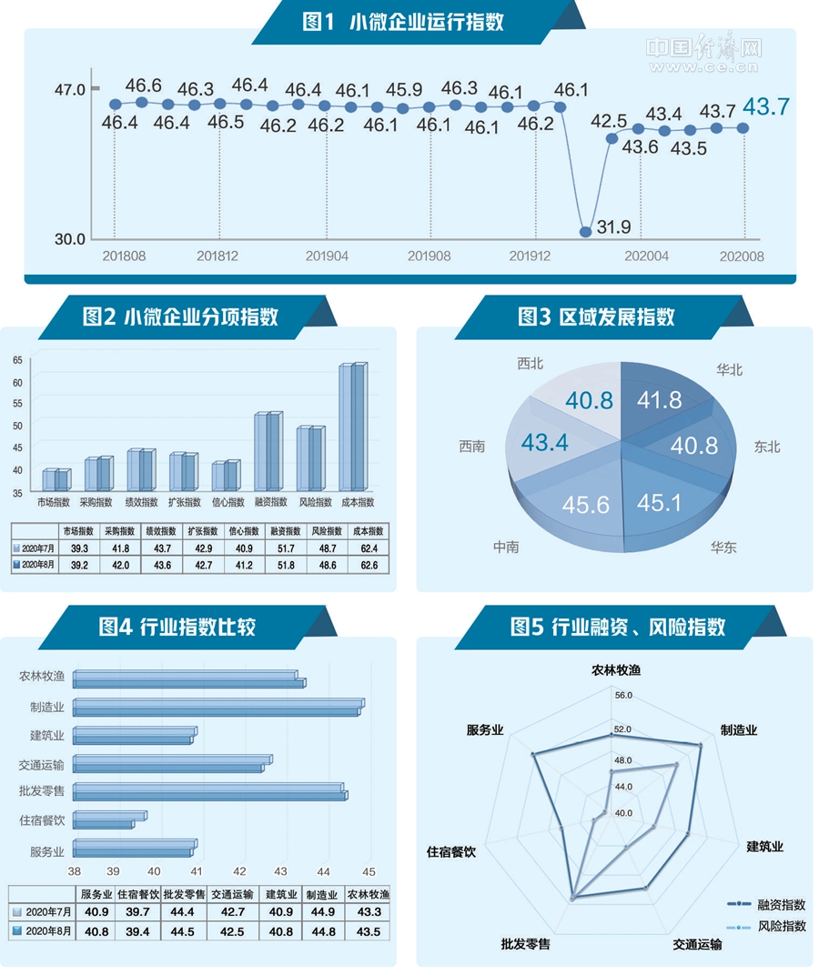 河南小微经济总量排名_河南牧业经济学院排名