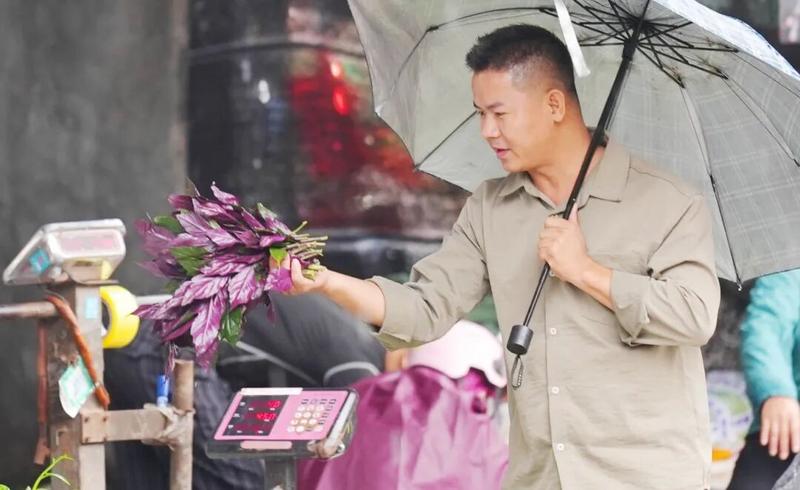 11月4日,市民正在选购新鲜蔬菜。海口市融媒体中心记者 杨忠凯 摄 11月4日,海南凤翔蔬菜批发市场内,市民正在选购新鲜蔬菜。 本报记者 杨忠凯 摄 (1).jpg