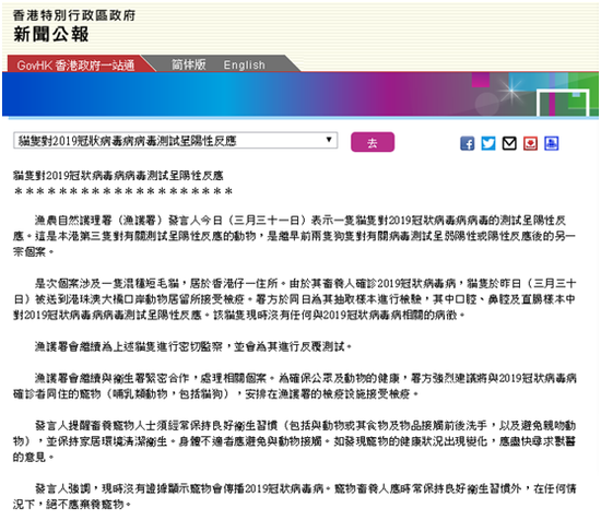香港1只混种短毛猫新冠检测阳性系全港第3例个案 杭州网