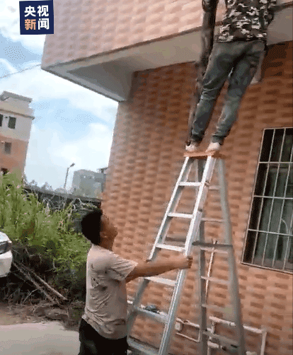 efa7538424c708a6ef52a1f660483489_640_wx_fmt=gif&wxfrom=5&wx_lazy=1.gif