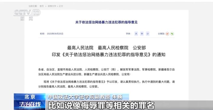 网红辱骂单亲妈妈致其自杀获刑案例分析，责任与言论自由的边界