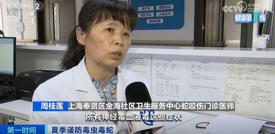 上海医院接诊蛇咬伤事件增多,如何辨别是否为毒蛇所咬
