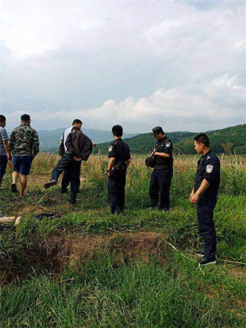 重庆男子在西双版纳遭野象攻击后死亡 尸体被踩扁