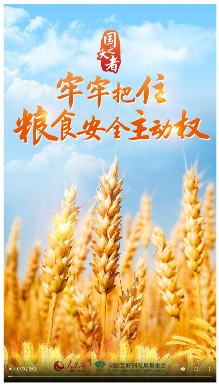 国之大者牢牢把住粮食安全主动权