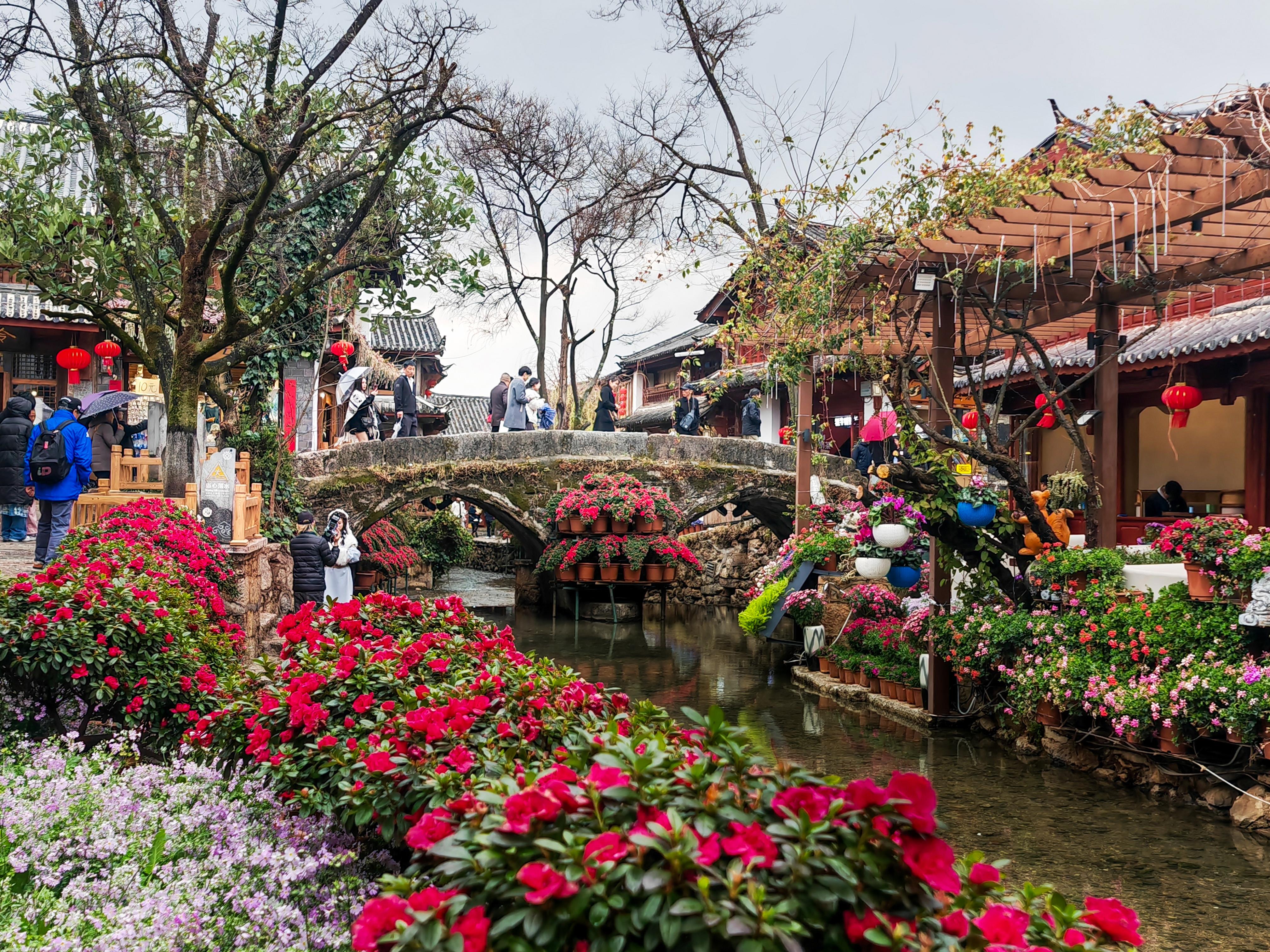 △丽江古城内百桥千巷,清流绕坊。(总台央广记者马喆拍摄)