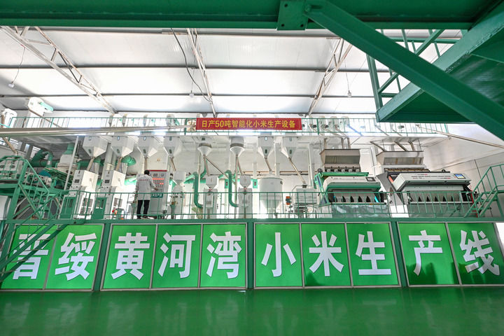 2025年7月1日拍摄的山西省吕梁市兴县晋绥黄河湾农业开发有限公司的小米生产线。抗战时期,地处晋西北地区的兴县和静乐县是晋绥抗日根据地的一部分。新华社记者 李鑫 摄