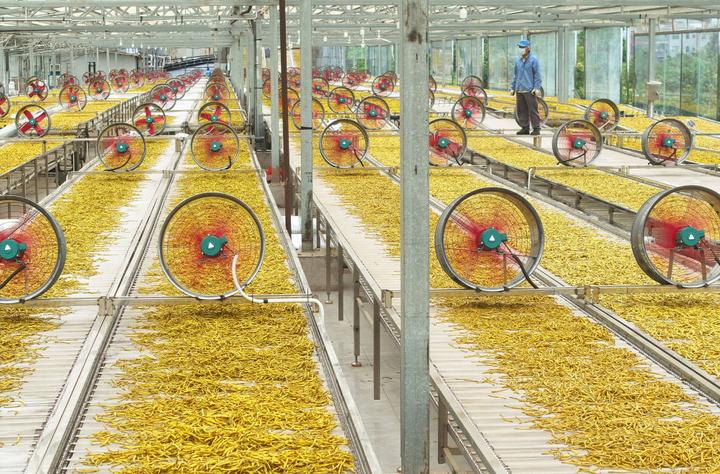 企业员工在湖南省衡阳市祁东县黄土铺镇加工黄花菜(2025年6月23日摄,无人机照片)。新华社发(曹正平 摄)