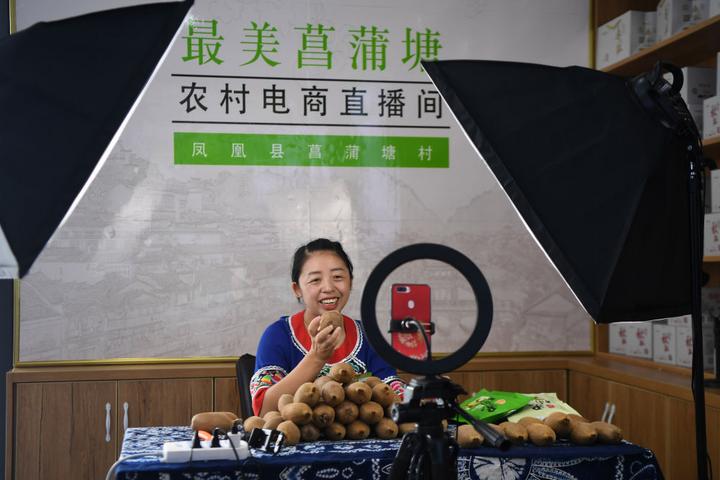 湖南省湘西州凤凰县廖家桥镇菖蒲塘村电子商务中心的主播黄小琼在直播销售猕猴桃(2020年9月10日摄)。新华社记者 薛宇舸 摄