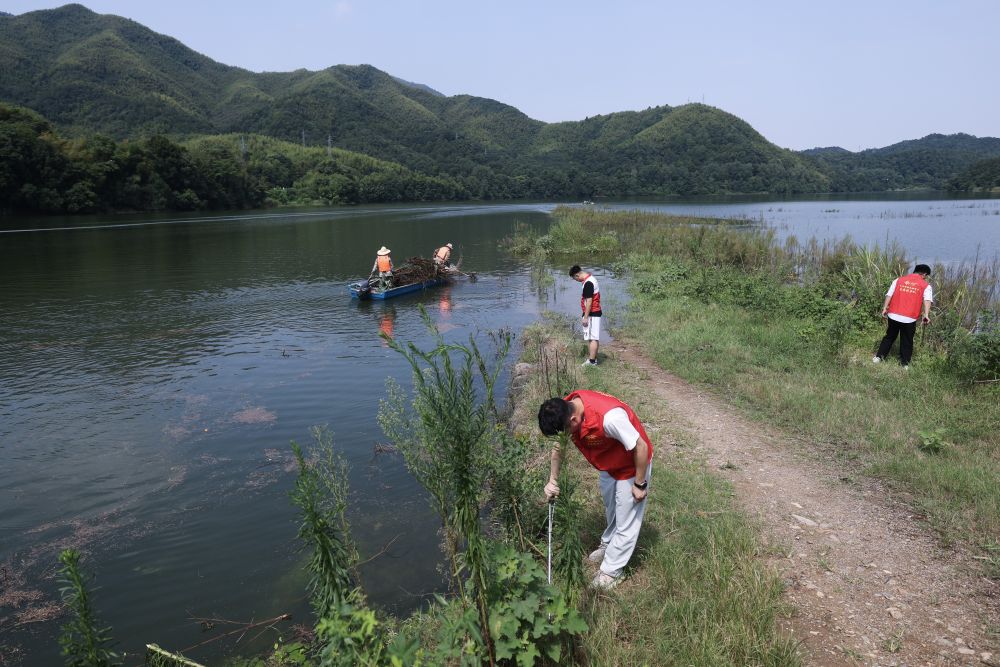 浙江省诸暨市东白湖镇的青年党员在陈蔡水库水源保护区与水库管理中心工作人员一起开展垃圾清理、隐患排查工作(2026年8月14日摄)。新华社记者 徐昱 摄