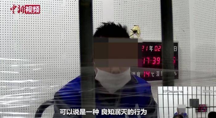 纸面服刑，纸面服刑案件始末