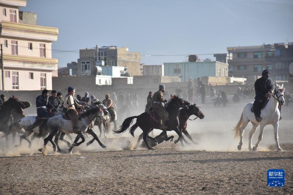 阿富汗马背叼羊