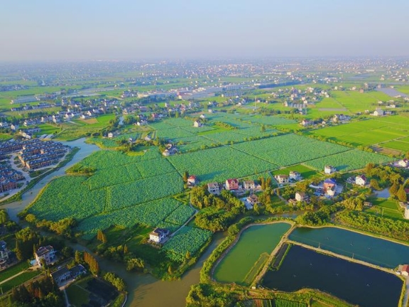 城与乡共享幸福生活嘉兴推进城乡生产生活生态共融共生