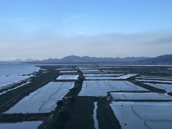 沿着丝路养青蟹，八脚还在盐碱地“横行”，鲜嗒嗒的三门出圈