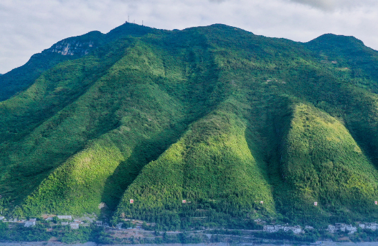 高山之上望见新风景：围绕生态做文章，景宁推开绿色发展之门