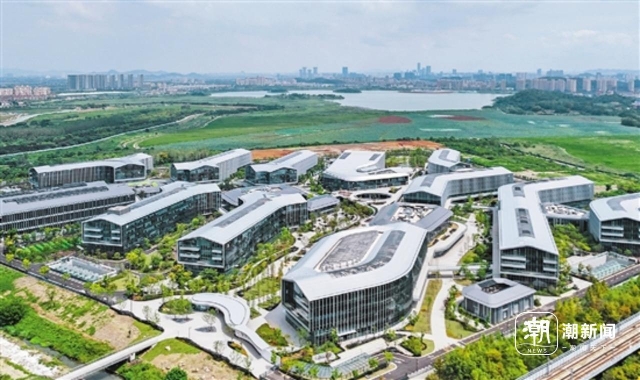 75年,浙江的75个“第一”(社会建设篇)_杭州网