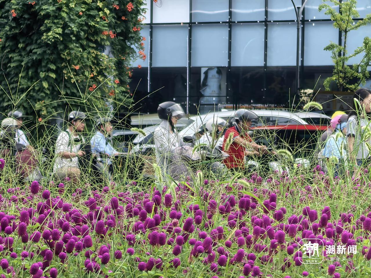 杭州一景。记者 俞刘东 摄