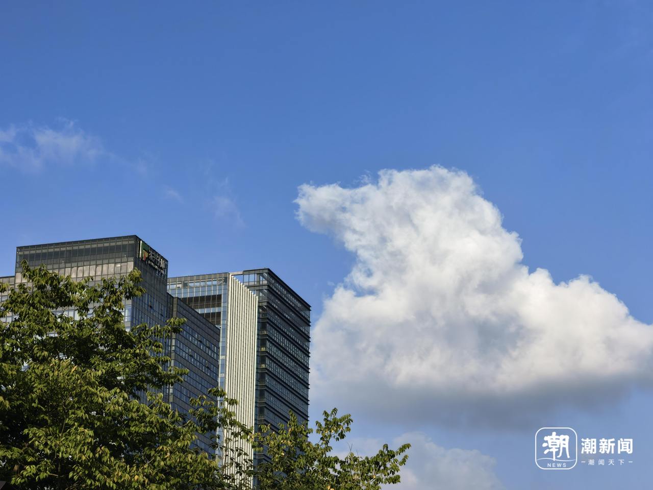 10月23日,杭州街头一景。记者 俞刘东 摄