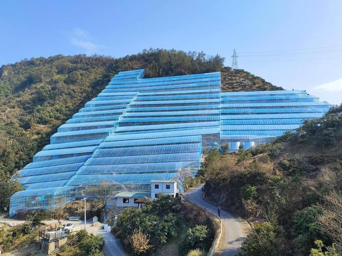 仙居杨梅智能大棚。受访者供图